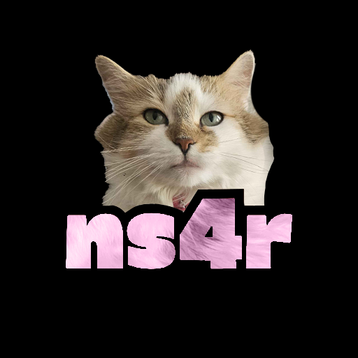 Clan NS4R logo