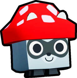 Mushroom Raccoon, Pets