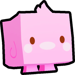 Pink Marshmallow Chick, Pets