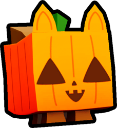 Pumpkin Cat, Pets