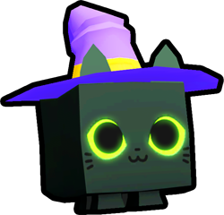 Witch Cat, Pets