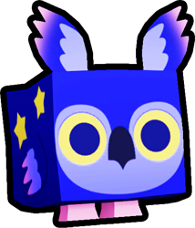 Starry Owl, Pets