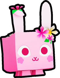 Blossom Bunny, Pets