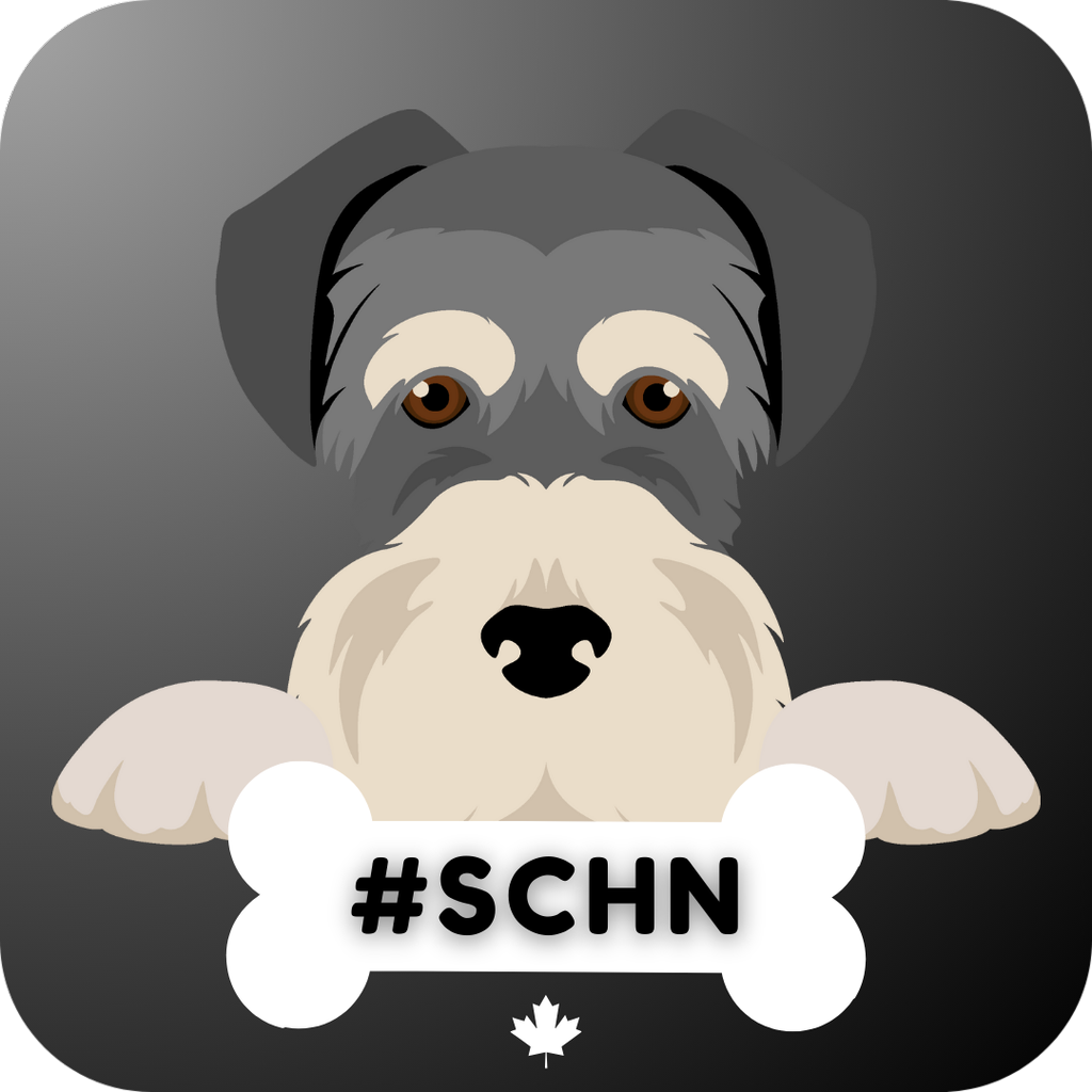 Clan schn logo